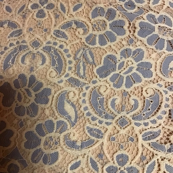 Feminine lace fit & flare dress - Picture 7 of 13